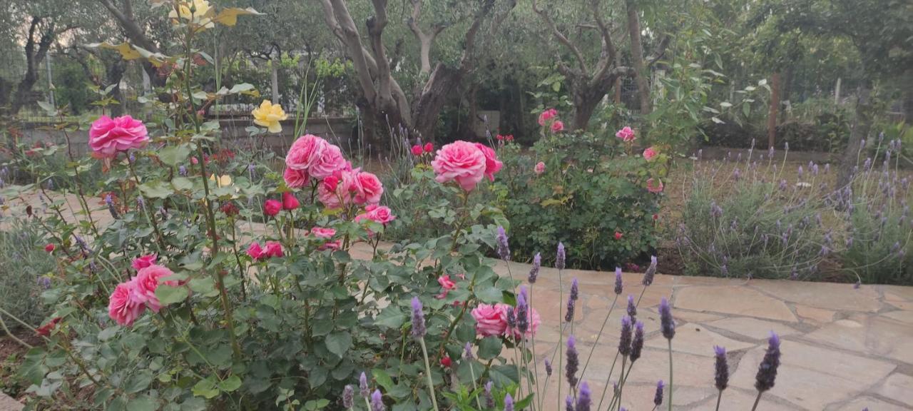 Villa Harmony Vergia المظهر الخارجي الصورة